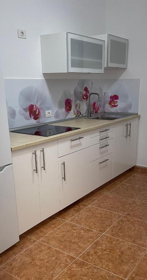 Apartamento Bahia Sol 칼레타데푸스테 외부 사진